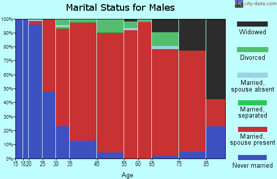 Bloomfield marital status for males