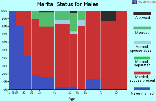 Mendon marital status for males