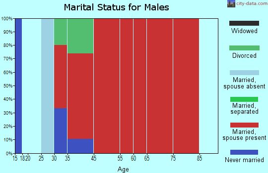 Shelburne marital status for males