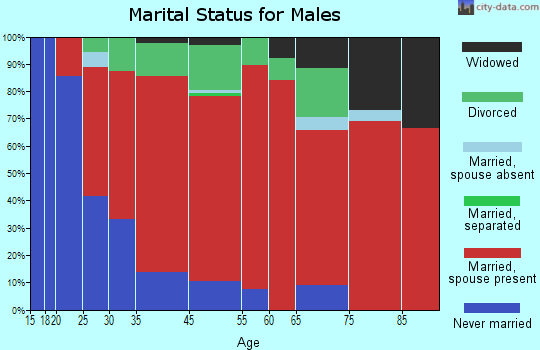 Sheldon marital status for males