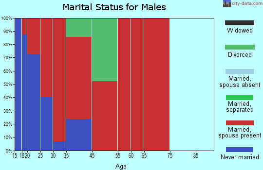South Hero marital status for males