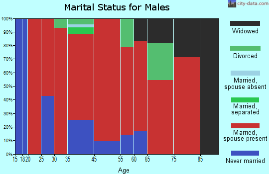 Thetford marital status for males