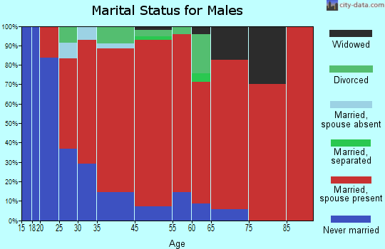 Chester marital status for males