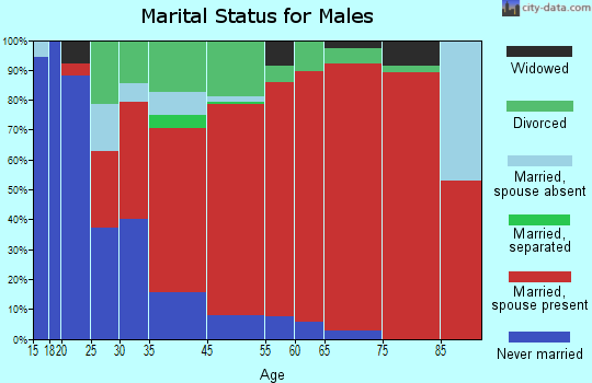 Worcester marital status for males