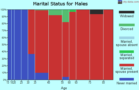 Clallam Bay-Neah Bay marital status for males