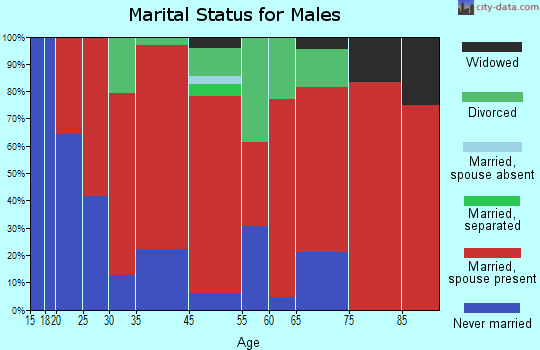 Farmington marital status for males