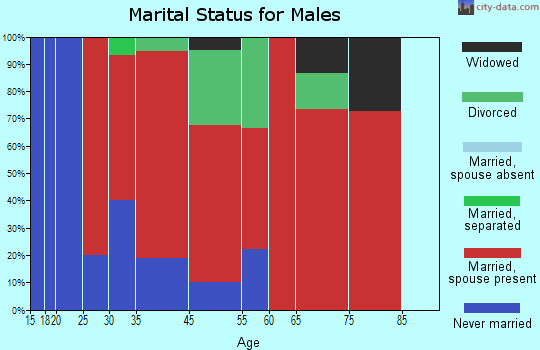 Loon Lake marital status for males