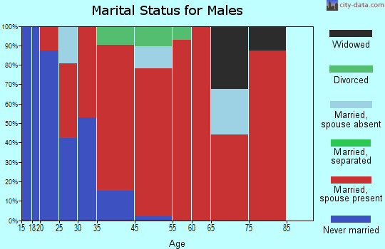 Rock Lake marital status for males