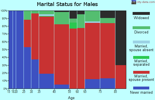 Lebanon marital status for males