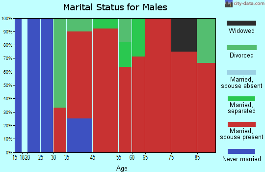 Agenda marital status for males