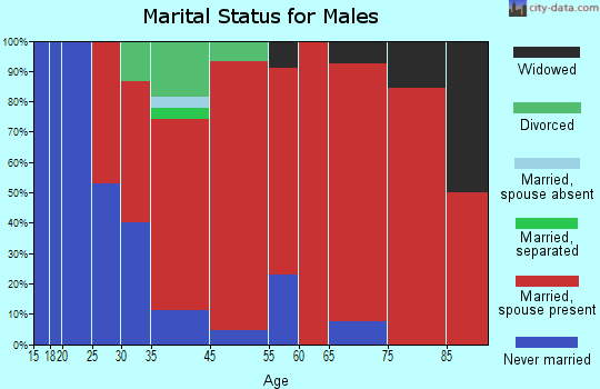 Amnicon marital status for males
