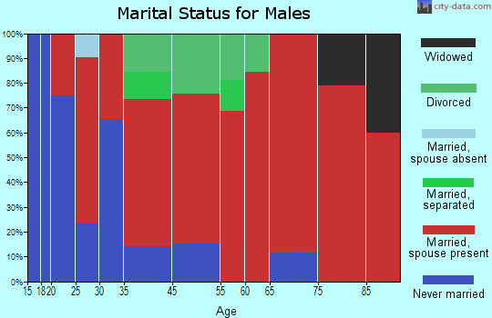Ashippun marital status for males