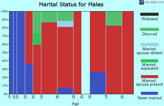 Aztalan marital status for males