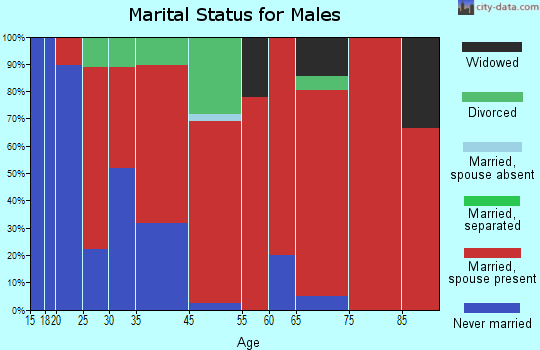 Beaver Brook marital status for males