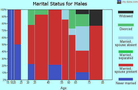 Big Flats marital status for males
