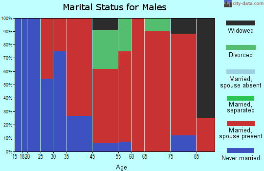 Birch Creek marital status for males