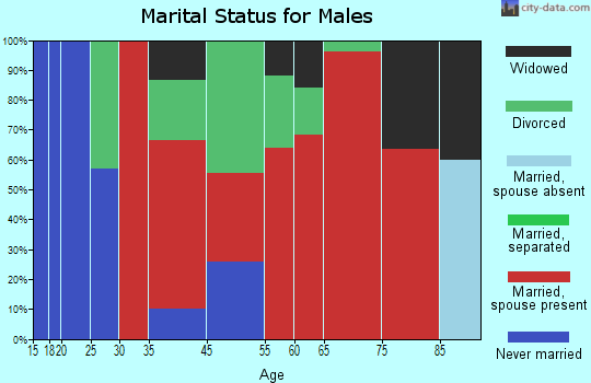 Black Brook marital status for males