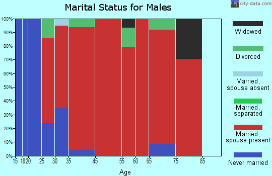 Bloomfield marital status for males