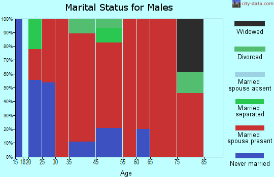 Brigham marital status for males