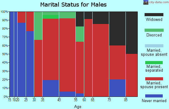 Bristol marital status for males
