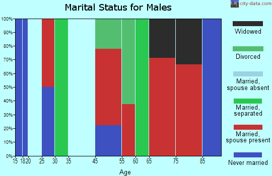 Brothertown marital status for males