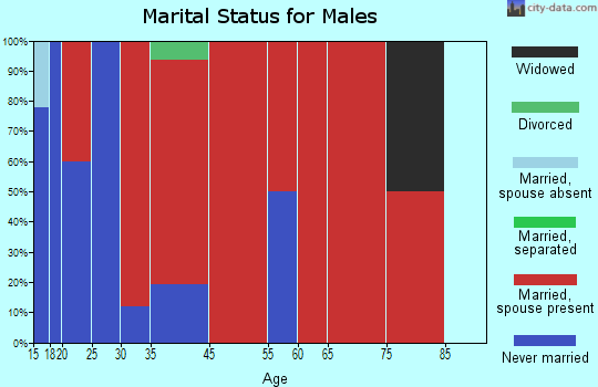 Brule marital status for males