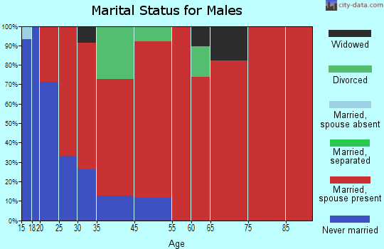Brussels marital status for males