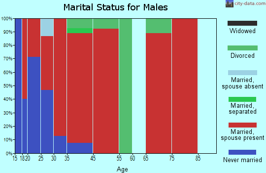 Cadiz marital status for males