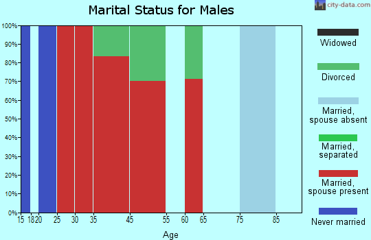 Cedar Lake marital status for males