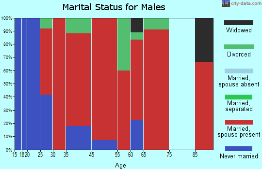 Clam Falls marital status for males