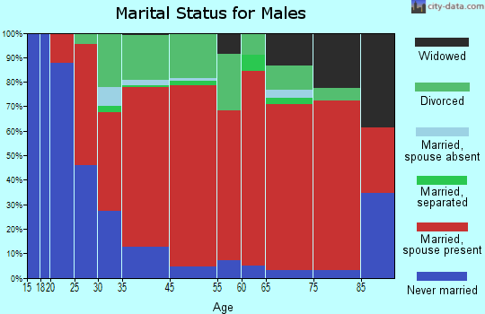 Rocky Hill marital status for males