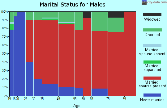 Salem marital status for males