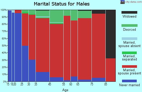 Salisbury marital status for males