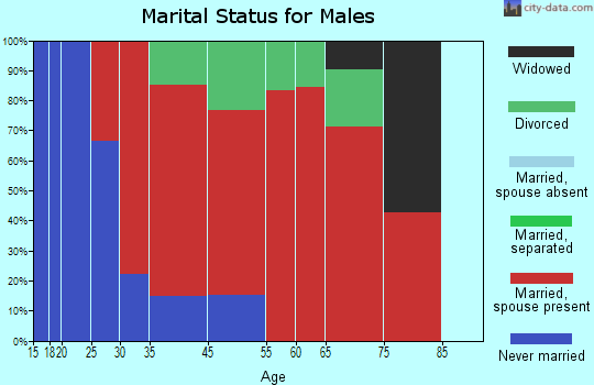 Ellenboro marital status for males