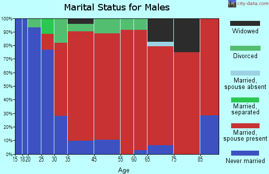 El Paso marital status for males