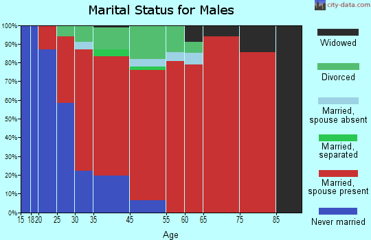Erin marital status for males