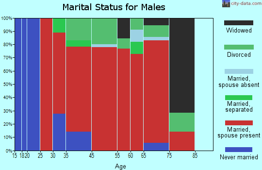 Farmington marital status for males