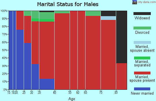 Georgetown marital status for males
