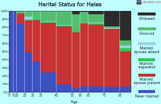 Warren marital status for males