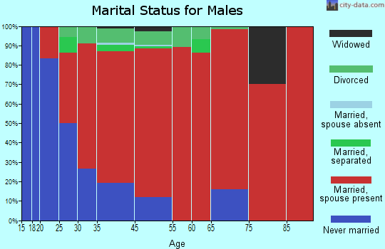 Willington marital status for males