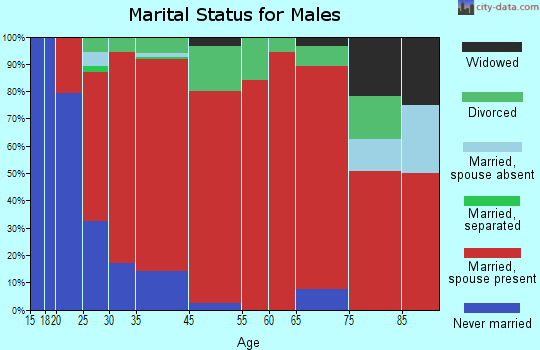 Irving marital status for males
