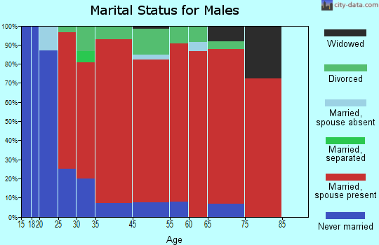 Ithaca marital status for males