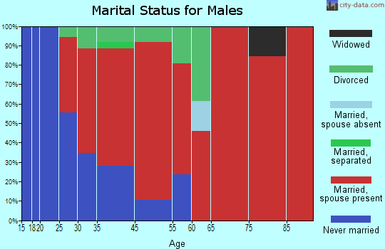 Jamestown marital status for males