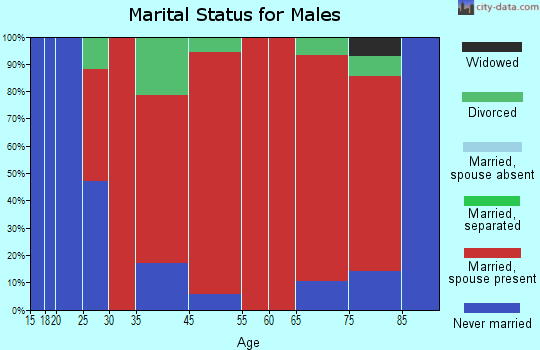 Johnstown marital status for males