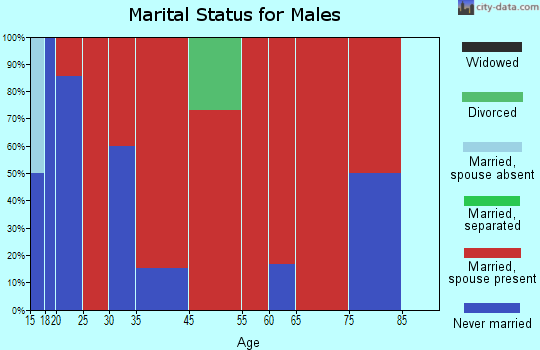 Jordan marital status for males
