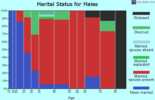 King marital status for males
