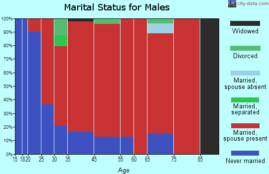 Lebanon marital status for males