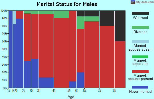 Little Rice marital status for males