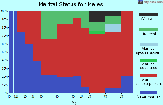 Long Lake marital status for males