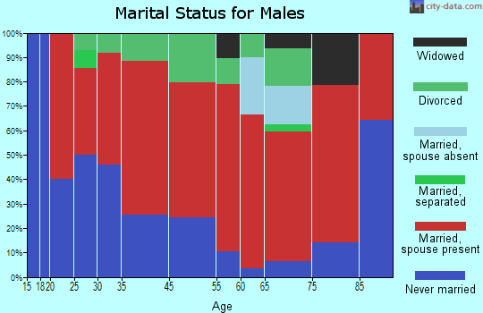 Lowville marital status for males